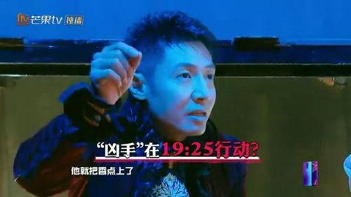 明星大侦探第四季免费观看完整版 吃瓜有理报料无罪,免费完整版揭秘，吃瓜有理，报料无罪！